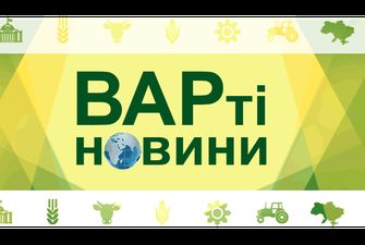 ВАРті новини: Аграрії Одещини опинились перед загрозою повного банкрутства через посуху