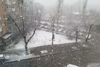 Погода на 23 січня: на українців чекає останній холодний день