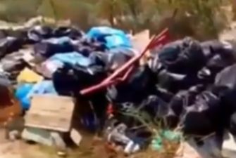 "Вонь, черви, гадюки и мыши": популярный курорт Украины утонул в мусоре. Видеофакт