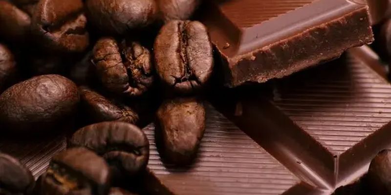 Цены на шоколад: эксперт рассказал, к чему готовиться любителям деликатеса