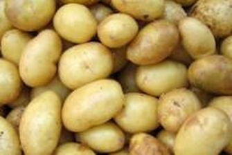В Украине заметно подорожал картофель