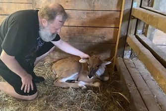 В зоопарке "XII Месяцев" на Киевщине родился малыш антилопы Канна