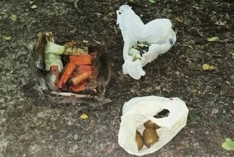 На Лысой горе нашли схрон боеприпасов и взрывчатки