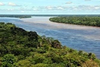 Леса Амазонки на 38% разрушены людьми - ученые