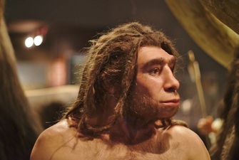 Причиной смерти неандертальцев могла стать одежда