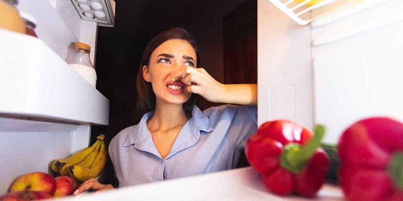 Как  быстро и эффективно убрать неприятный запах с холодильника?