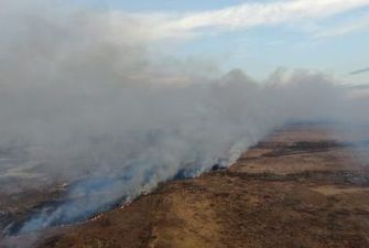 Звірі втікали від вогню, а села опинилися у пастці: в Рівненській області спалахнула масштабна пожежа
