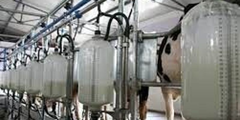 Молочная отрасль в Украине из-за войны потеряла почти 1 млн тонн молока