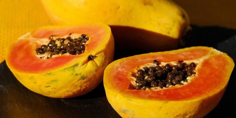 Экзотические фрукты в теплице: садовник из Черновицкой области нашел способ выращивать авокадо, кофе, имбирь и папайю
