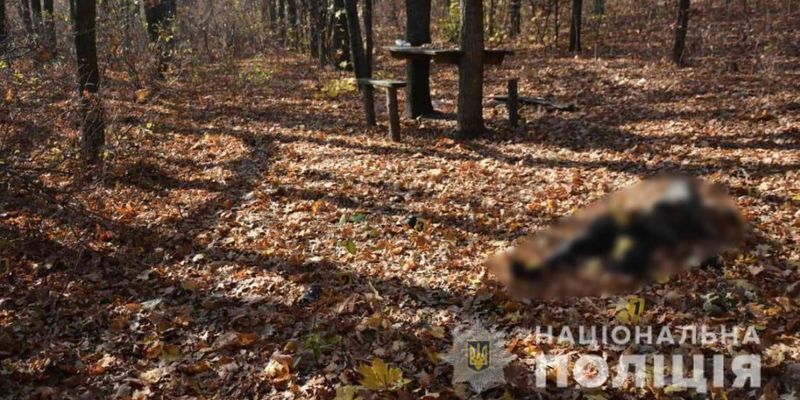 На Харьковщине мужчина в лесополосе забил до смерти своего знакомого