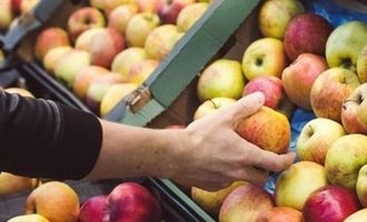 Яблоки и виноград продолжают дорожать: как изменилась стоимость в Ашан, Метро и Варус