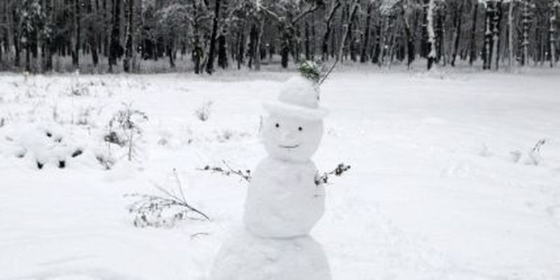 Заснежит и похолодает до -3: прогноз погоды в Киеве на среду, 1 декабря