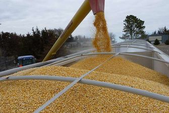 Україна відправила на експорт рекордну кількість зерна