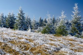 Зима близко: появились яркие фото со снегом из украинских Карпат