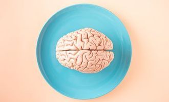 Человеческий мозг за последние 100 лет существенно увеличился: как это может повлиять на здоровье