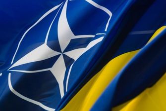 Країни-члени НАТО хочуть поговорити із Зеленським про його мирні ініціативи