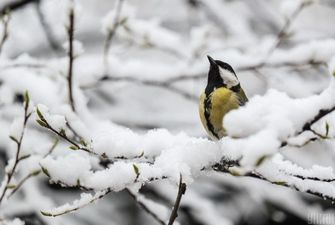 В Украину возвращаются морозы и снег: где и когда изменится погода