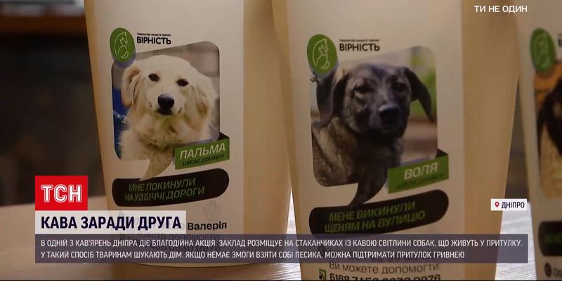 В кав'ярні у Дніпрі волонтерам допомагають знайти власників для собак