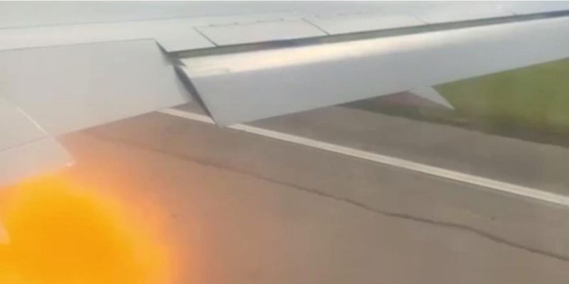 Двигатель выпустил столб пламени: самолет с российскими туристами столкнулся со стаей орлов