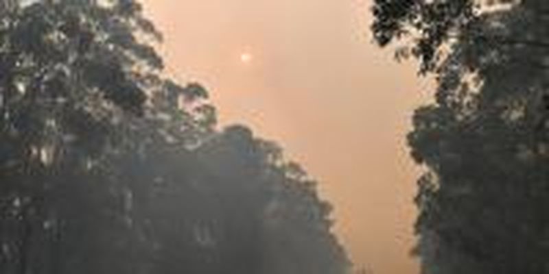В Австралии на фоне пожаров ожидаются новые волны жары
