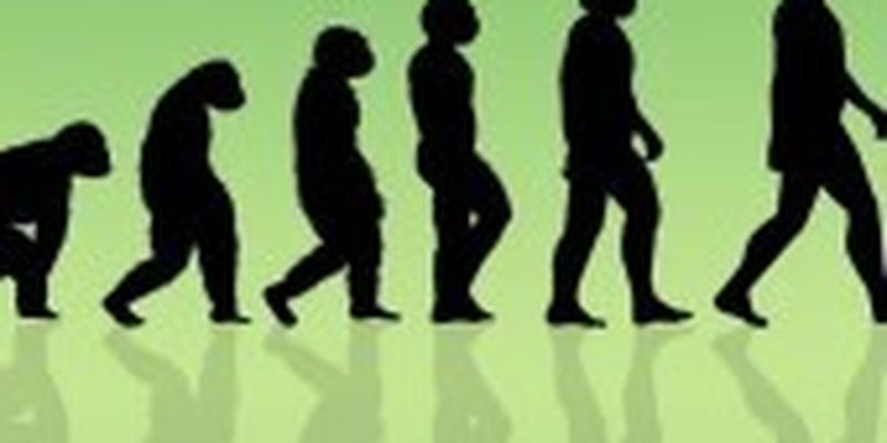 24 листопада відзначають Міжнародний день еволюції