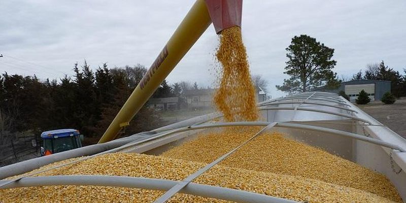 Україна та Польща досягли домовленостей щодо спрощення проходження процедур при експорті зернових та олійних культур