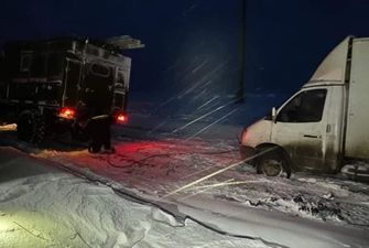 В Николаеве из-за ледяного дождя падают деревья, дороги превратились в каток