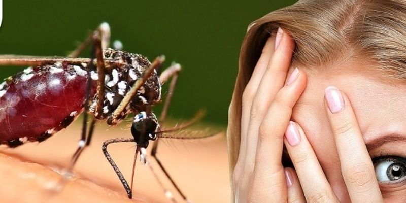Как противостоять комарам с помощью народных средств?