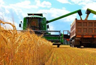 Жнива-2020: аграрії вже зібрали майже 1,13 млн тонн зерна