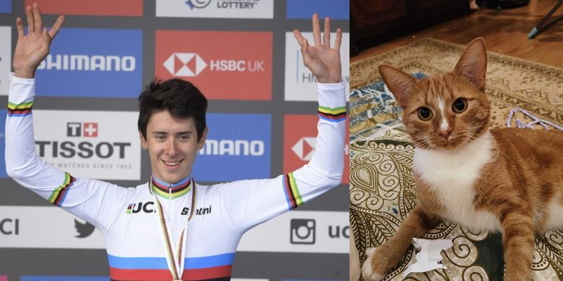 "Моя трехлетняя дочь любила его": чемпион мира по велоспорту застрелил кота министра