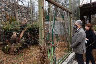 У Черкасах за підтримки Roshen будують зоопарк. Бюджет проекту більше 300 млн грн