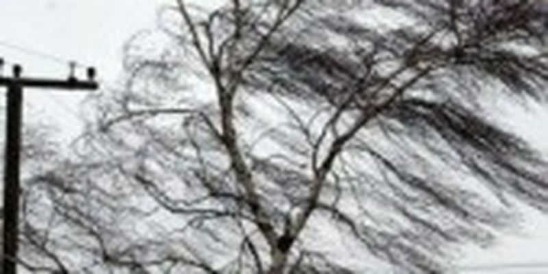 У Севастополі вітер повалив дерева та пошкодив авто, було паралізовано рух транспорту