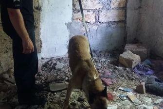 Зникнення Дар'ї Лук'яненко: до пошуків залучили 250 поліцейських та рятувальників