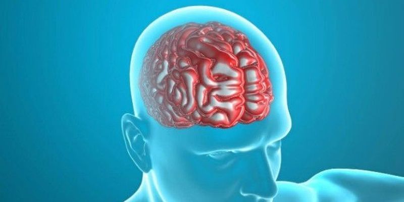 За всі емоції людини відповідає зона мозку розміром у 3 см - дослідження