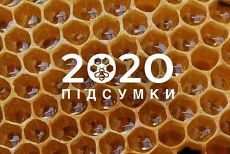 Аграрний 2020-й: Яким був рік для виробників меду?