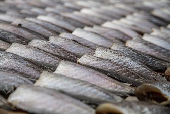 В Україні виробництво солоної риби збільшилося на 20%