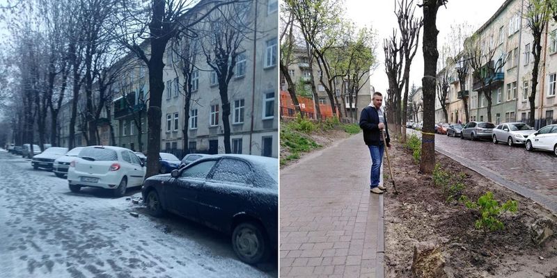 У Львові зрізали кущі та деревце на газоні, аби повернути незаконну парковку