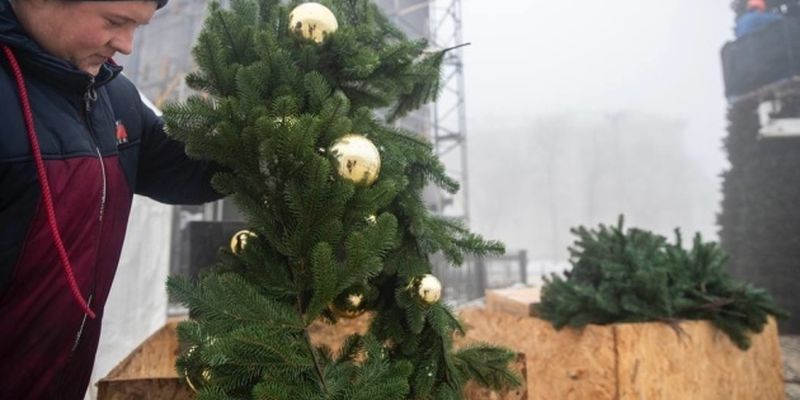 На Софийской площади начинают украшать новогоднюю елку