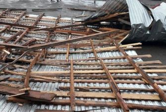Поваленные деревья и сорванные крыши: что натворила непогода на Прикарпатье