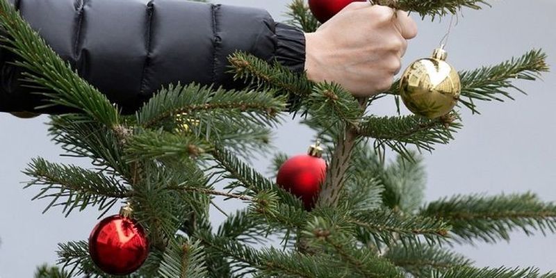 Убираем новогоднюю елку с умом: что нужно знать, чтобы избежать беды и неудачи