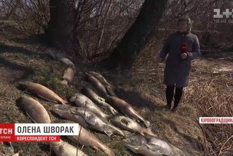 Десятки тонн рыбы вымерли в водохранилище в Кировоградской области
