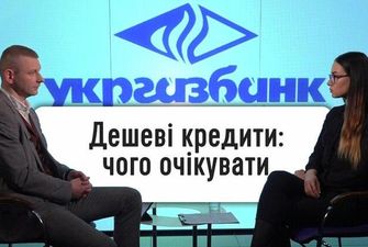 Зеленский "засеет" украинцев дешевыми кредитами на бизнес: банкир объясняет, как будут кредитовать банки в 2020 году