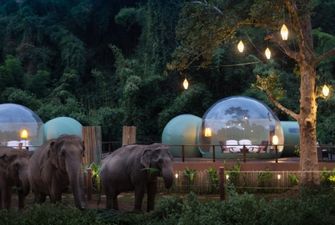 В Таиланде туристы могут переночевать в компании слонов