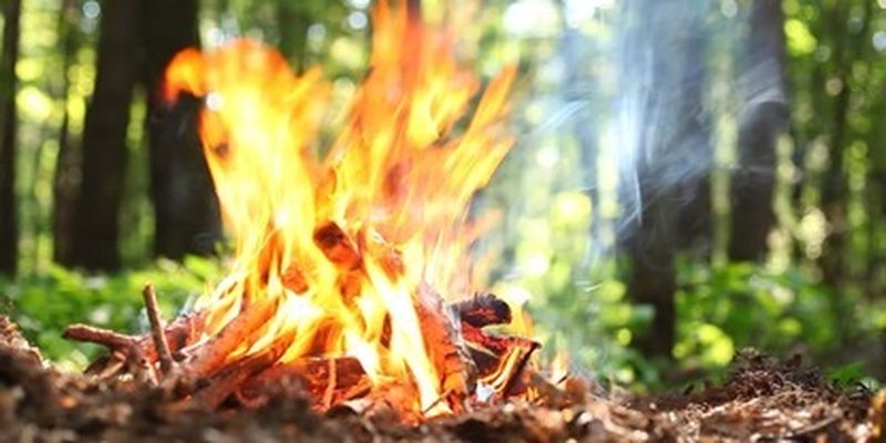 Сезон уже начался: как правильно разжигать огонь на природе