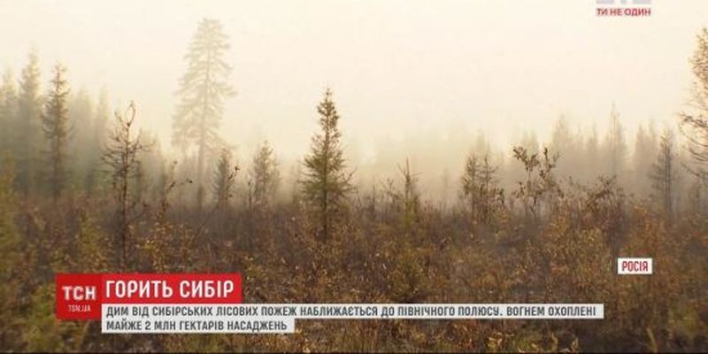Сибір охопили масштабні пожежі: дим наближається до Північного полюсу