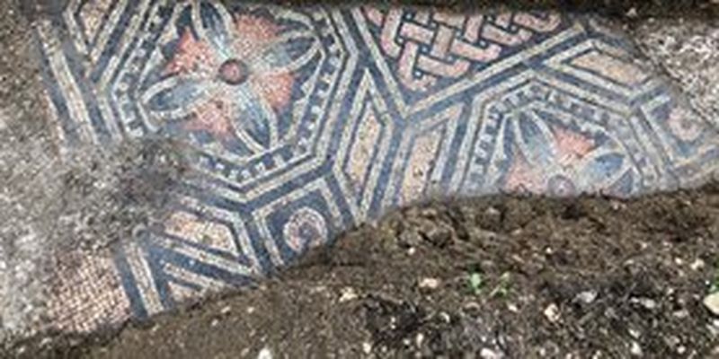 Под виноградником на севере Италии нашли древнеримский мозаичный пол: фото