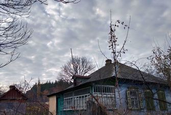 «Мешала отдыхать»: в Черкасской области хозяин повесил собаку на заборе