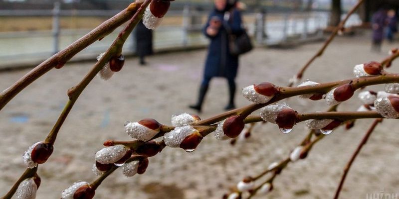 Местами до +20: погода в Украине 23 марта будет теплой, но в Карпатах угроза лавин
