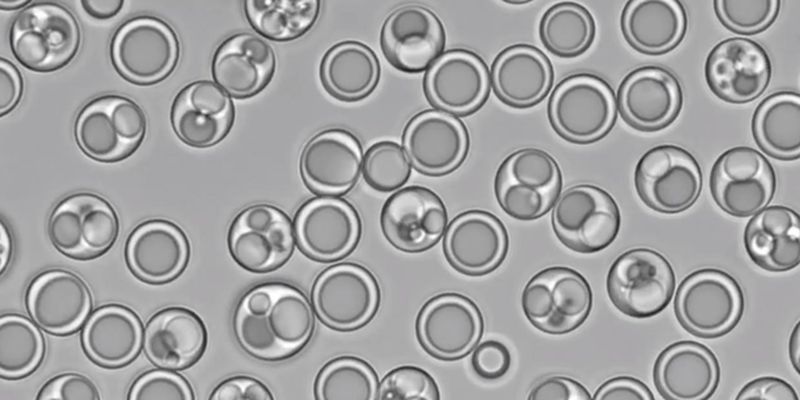 Ученые создали искусственную "клетку-пылесос"