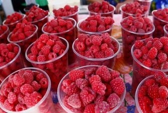 На ринках рекордно дорогі ягоди: чим зумовлена висока вартість і чи впадуть ціни